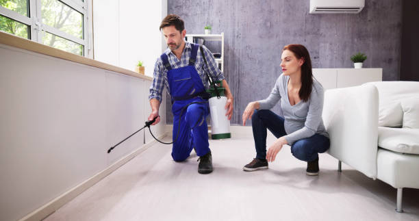 Best Pest Exclusion Services  in Lenoir City, TN